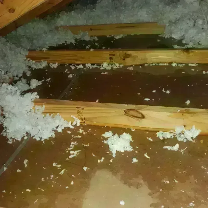 Attic Water Damage in Finley, WA