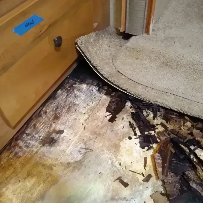 Wood Floor Water Damage in Finley, WA